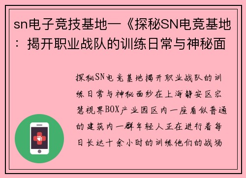 sn电子竞技基地—《探秘SN电竞基地：揭开职业战队的训练日常与神秘面纱》